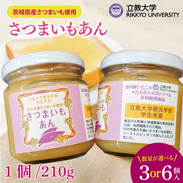 【選べる個数】さつまいもあん｜GN-1/GN-2