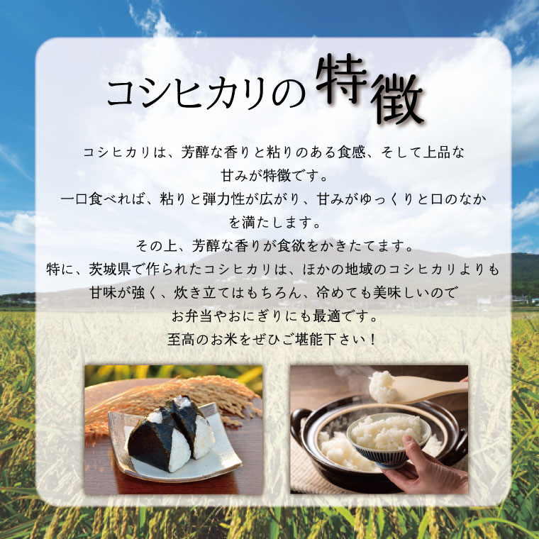 【ふるさと納税】【2025年9月中旬・10月より順次発送】【選べる品種・内容量】★数量限定★令和7年 茨城県産米｜米 お米 こめ 新米 あきたこまち コシヒカリ ミルキークイーン にじのきらめき 数量限定 期間限定 先行予約 令和7年産 茨城県産 行方市 人気 送料無料 サムネイル3
