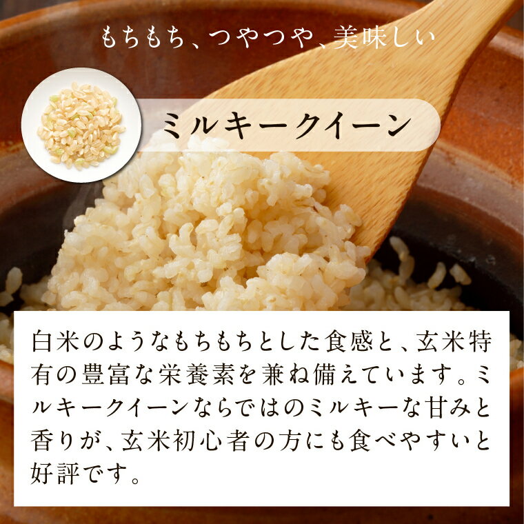 【ふるさと納税】【最短翌日発送】ミルキークイーン パックごはん 玄米 18食入り 甘み豊かもちぷち｜米 お米 こめ パックごはん パックご飯 ミルキークイーン 玄米 ごはん 安心 国産 最短翌日 スピード発送 茨城県 行方市(HE-3) - 画像3