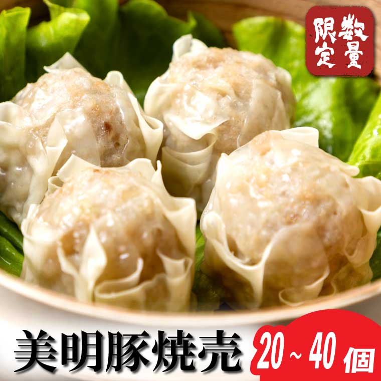 【2026年5月中旬より順次発送】焼売 美明豚「びめいとん」のジューシー焼売｜シュウマイ 焼売 美明豚 びめいとん 肉 肉加工品 豚肉 お肉 ジューシー 茨城県 行方市(HJ-1-1)