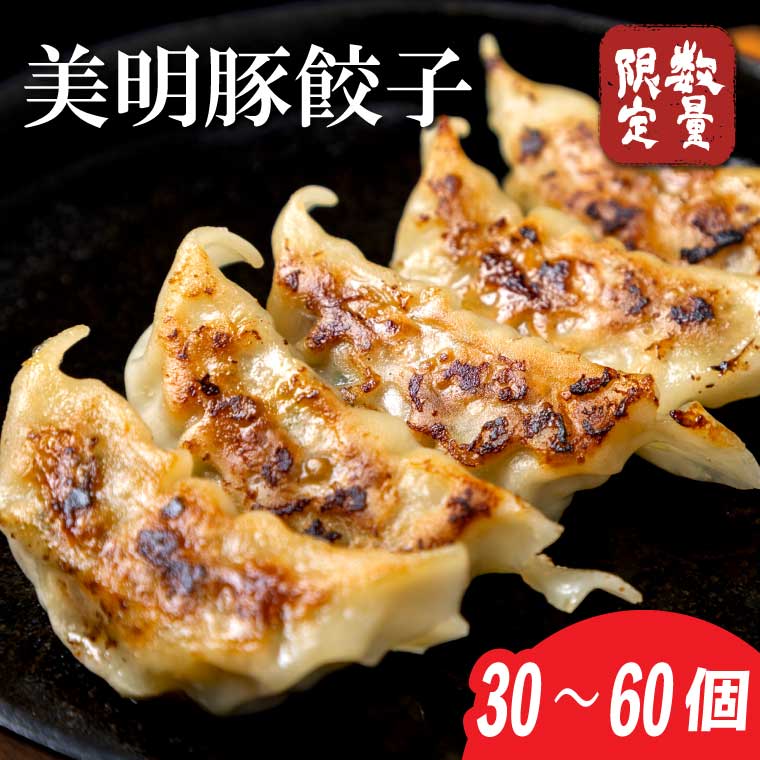 【2025年12月上旬より順次発送】【選べる】美明豚「びめいとん」のジューシー餃子 2パック(30個入り×2袋)・ 1パック(30個入り)｜餃子 ぎょうざ ギョウザ 美明豚 びめいとん 数量限定 肉 肉加工品 豚肉 お肉 ジューシー 先行予約 茨城県 行方市(HJ-2)