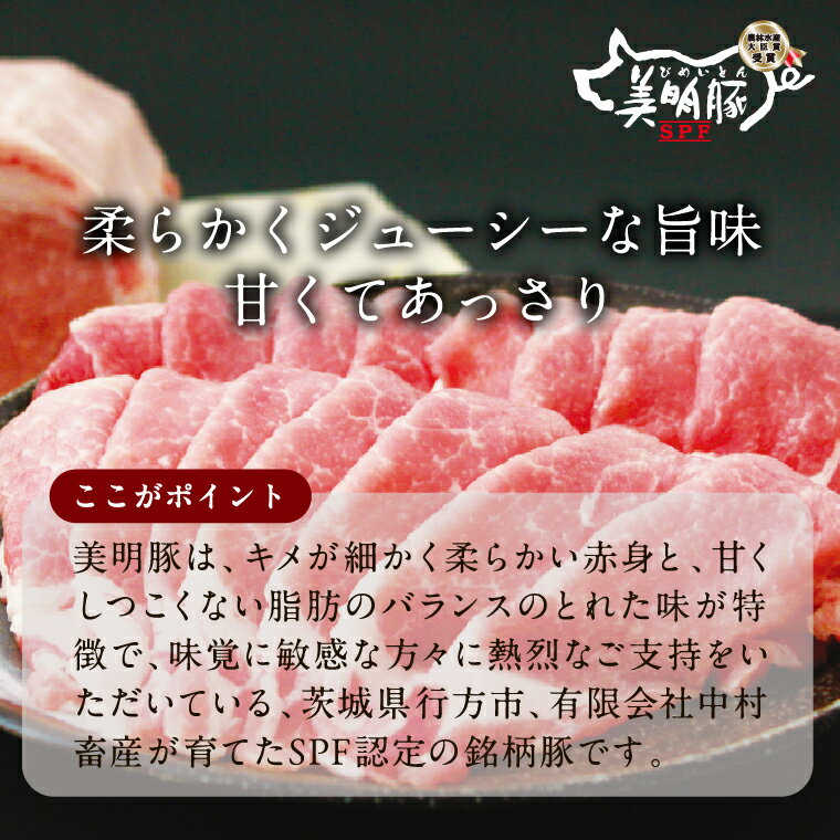 【ふるさと納税】【2026年5月中旬より順次発送】焼売 美明豚「びめいとん」のジューシー焼売｜シュウマイ 焼売 美明豚 びめいとん 肉 肉加工品 豚肉 お肉 ジューシー 茨城県 行方市(HJ-1-1) - 画像2