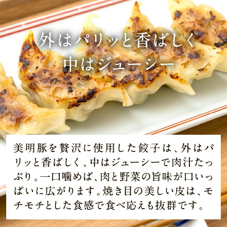 【ふるさと納税】【2025年12月上旬より順次発送】【選べる】美明豚「びめいとん」のジューシー餃子 2パック(30個入り×2袋)・ 1パック(30個入り)｜餃子 ぎょうざ ギョウザ 美明豚 びめいとん 数量限定 肉 肉加工品 豚肉 お肉 ジューシー 先行予約 茨城県 行方市(HJ-2) サムネイル3