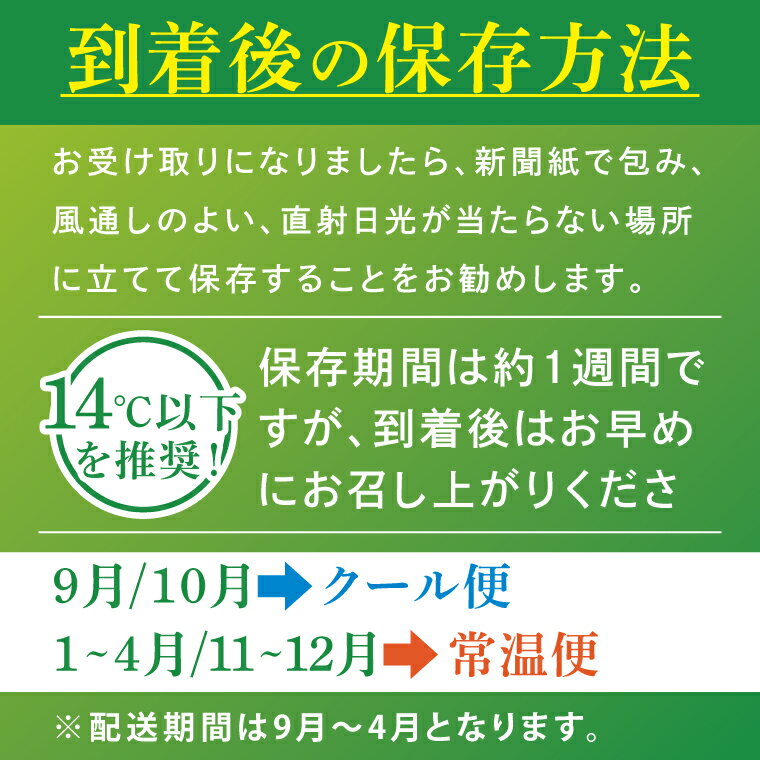 【ふるさと納税】【選べる内容量】河野農園自慢の新鮮長ねぎ｜長ネギ 長ねぎ ネギ ねぎ 葱 野菜 やさい 訳あり わけあり 訳アリ 野菜 新鮮 規格外 茨城県 行方市(HW-1) - 画像3