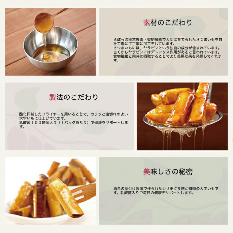 【ふるさと納税】らぽっぽファーム【工場直送】美腸大学いも 1kg｜さつまいも 大学芋 芋 サツマイモ だいがくいも スイーツ お菓子 冷凍 美腸大学芋 人気 送料無料 茨城県 行方市 らぽっぽファーム(CQ-19) サムネイル3
