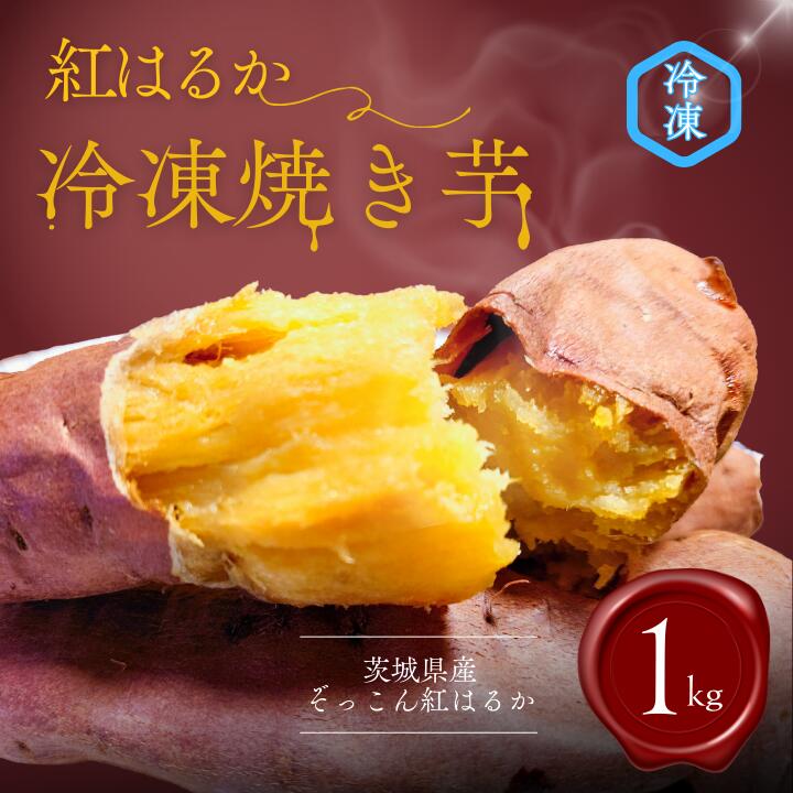 ぞっこん 紅はるか 冷凍 焼き芋 約1kg Mサイズ 2Sサイズ さつまいも 産出額全国1位 焼芋