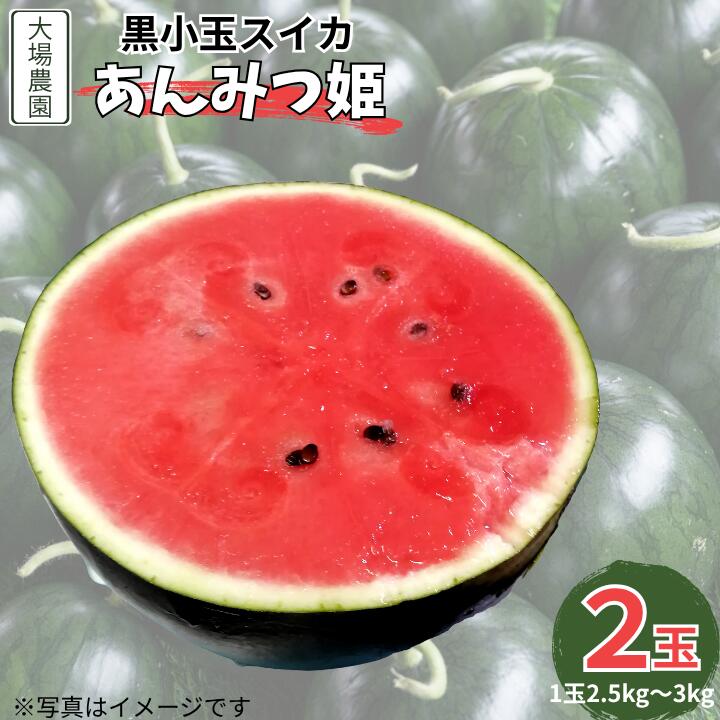 黒小玉スイカ（あんみつ姫）　2玉（2.5kg～3kg×2玉）