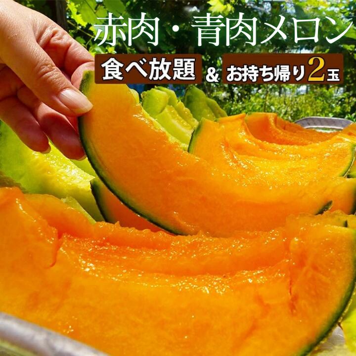 タカミメロン 食べ放題 ＆ お持ち帰りメロン2玉（30分）2名様分