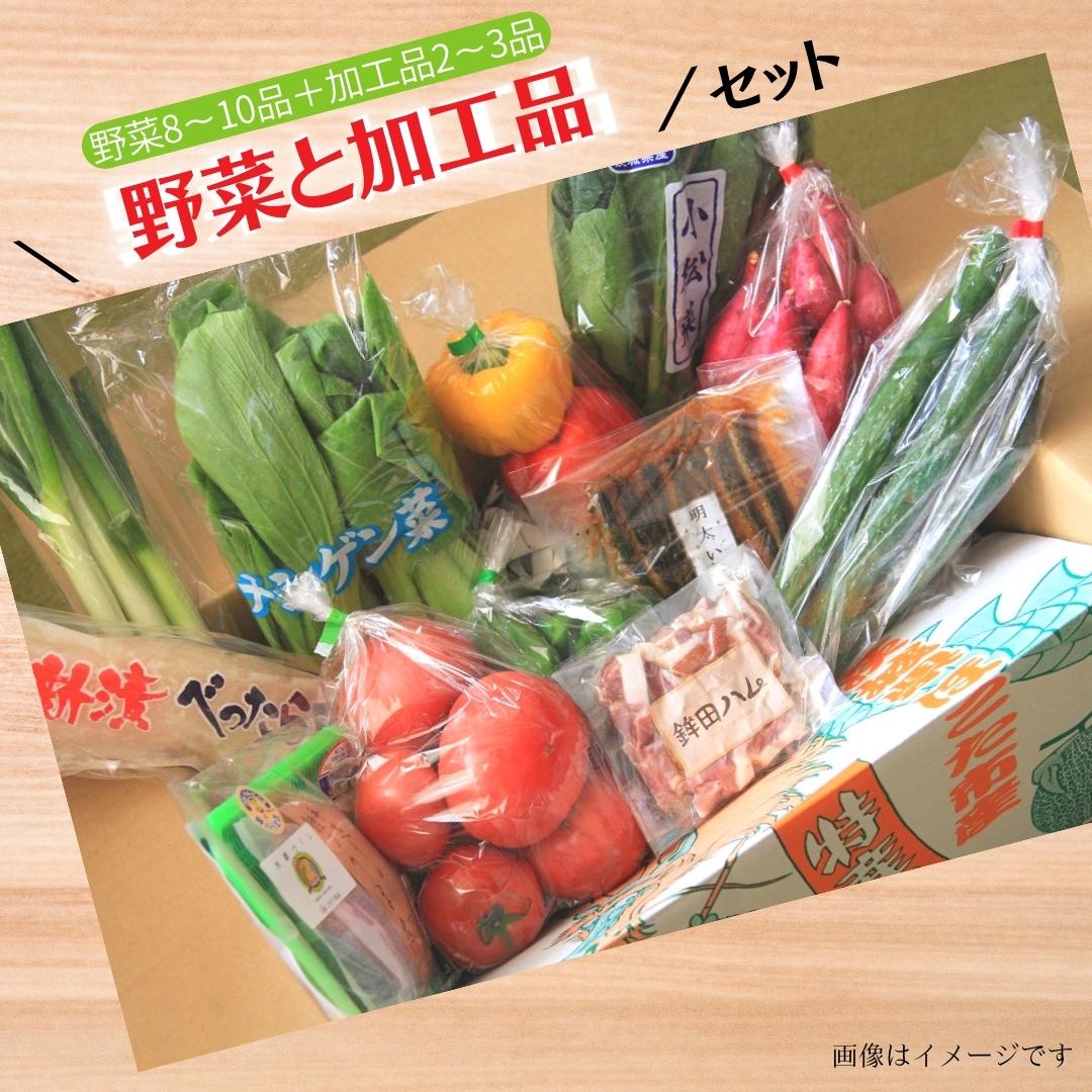 ＼選べる発送回数／ 旬を産地直送「旬菜館オリジナル【 野菜 （8〜10品）と 加工品 （2〜3品）】セット」届くまでのお楽しみ♪