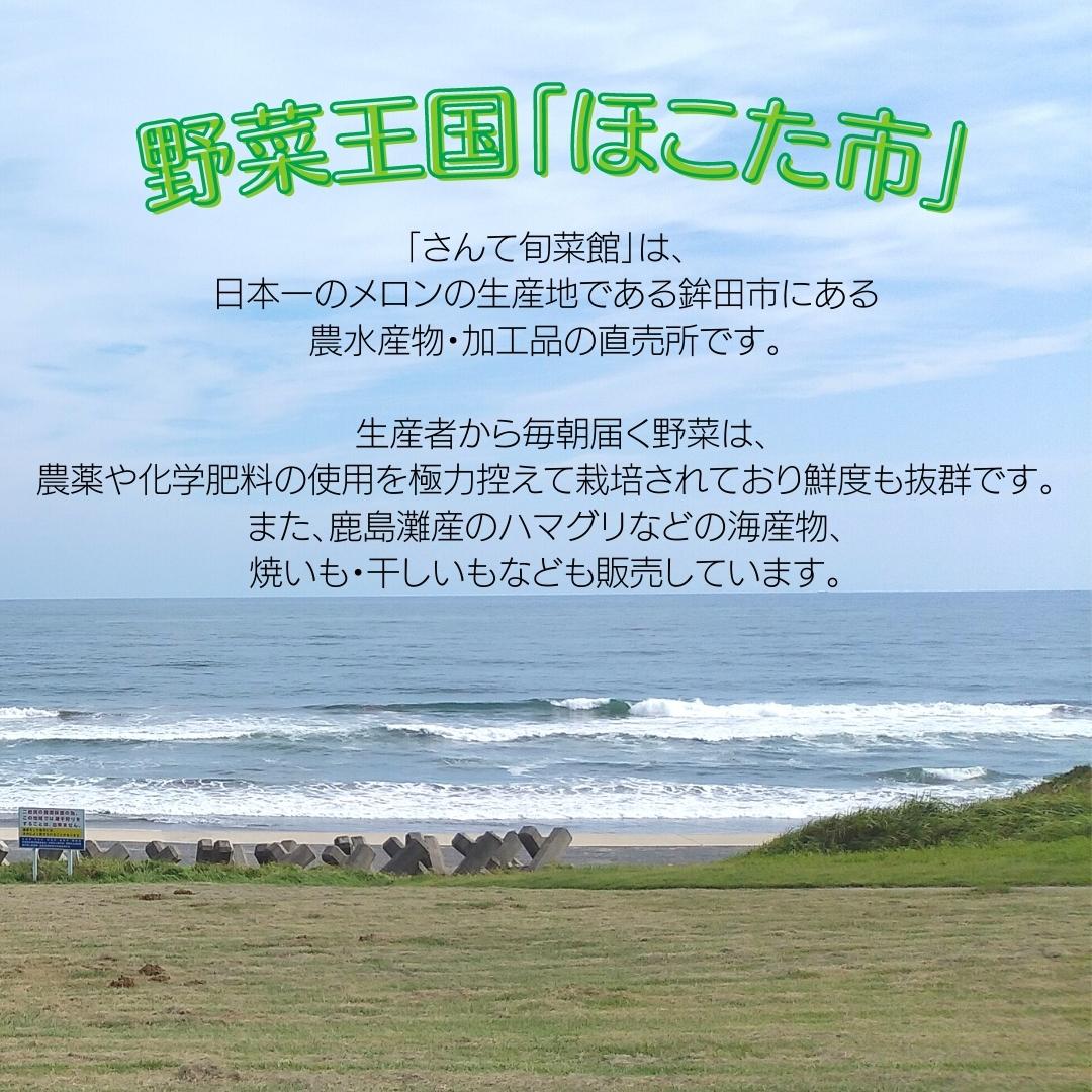 【ふるさと納税】＼選べる発送回数／ 旬を産地直送「旬菜館オリジナル【 野菜 （8〜10品）と 加工品 （2〜3品）】セット」届くまでのお楽しみ♪ - 画像3