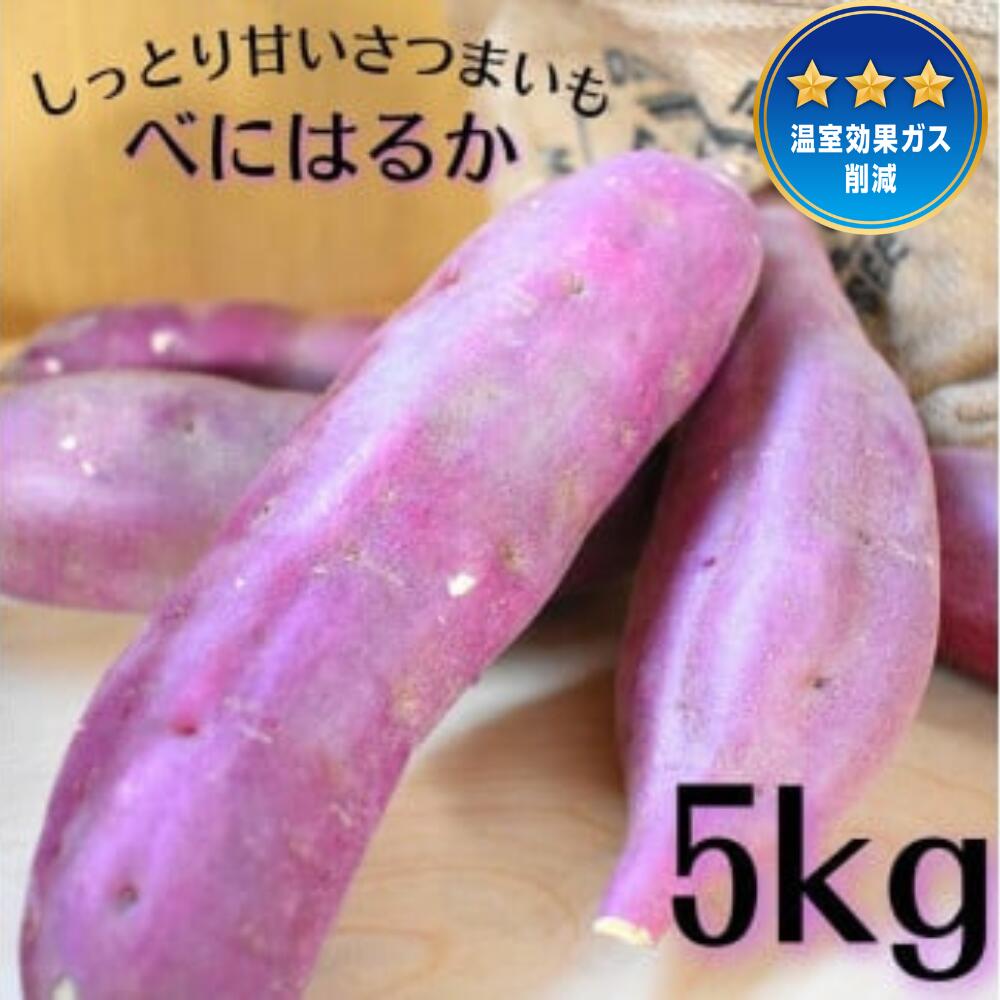 しっとり甘いさつまいも！「特別栽培農産物」べにはるか　5kg