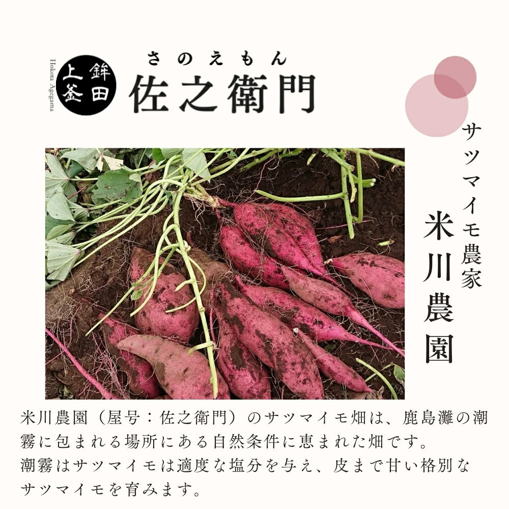 【ふるさと納税】米川農園 佐之衛門 の 焼き芋 食べ比べ 冷凍焼きいも やきいも 紅はるか シルクスイート ハロウィンスイート すずほっくり ふくむらさき あいこまち - 画像2