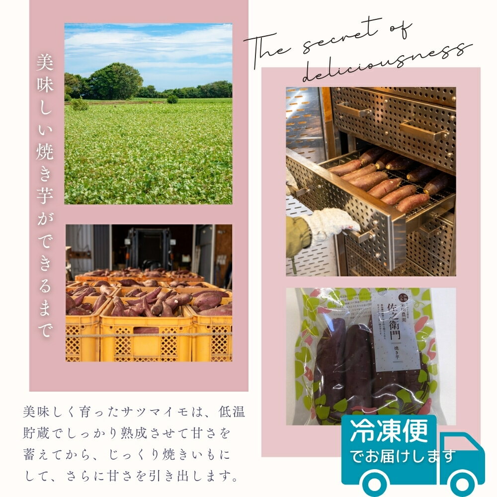 【ふるさと納税】米川農園 佐之衛門 の 焼き芋 食べ比べ 冷凍焼きいも やきいも 紅はるか シルクスイート ハロウィンスイート すずほっくり ふくむらさき あいこまち - 画像3