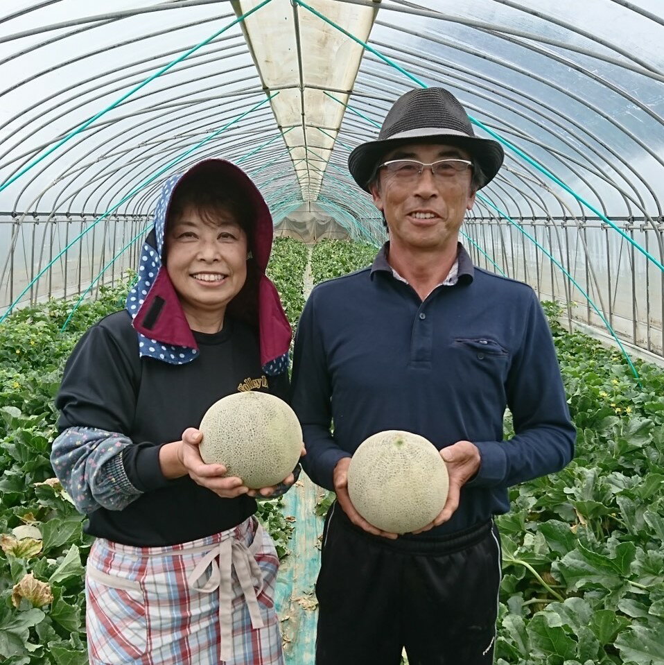 【ふるさと納税】メロン めろん 生産量日本一 クインシーメロン 山一ファーム おすすめ 人気 国産 赤 茨城 鉾田 フルーツ 旬 プレゼント 贈り物 甘い ヘルシースイーツ 産地直送 農業王国 赤肉4月下旬～2026年6月中旬発送 送料無料 サムネイル3