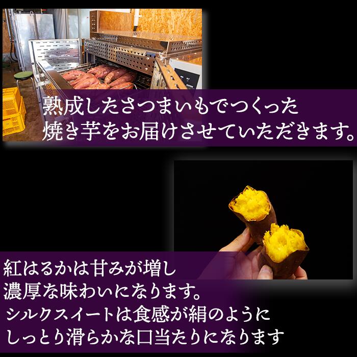 【ふるさと納税】焼き芋（紅はるか/シルクスイート）1〜2kg - 画像2