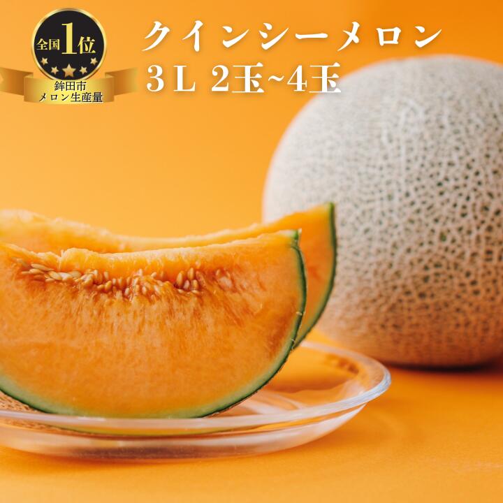 クインシーメロン（3L×2玉～4玉）