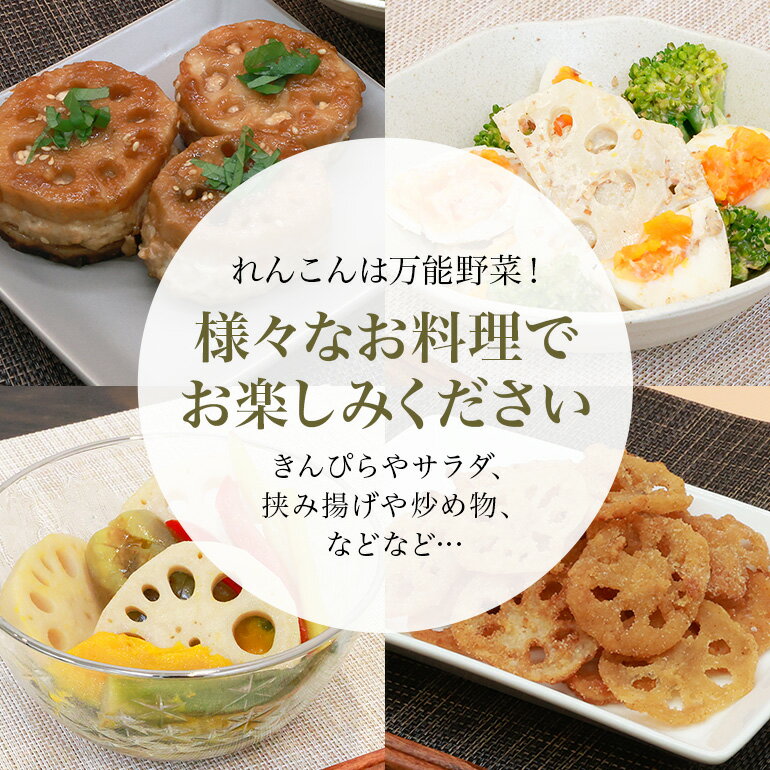【ふるさと納税】野口誠の蓮根 約4kg れんこん レンコン 蓮根 野菜 国産 期間限定 57-A - 画像2