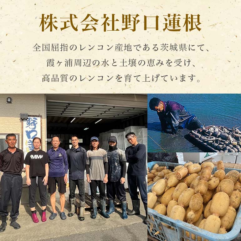 【ふるさと納税】【 冬季限定 贈答用 】 野口誠の蓮根 約4kg れんこん レンコン 蓮根 野菜 国産 期間限定 57-B - 画像3