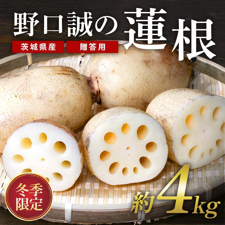 【 冬季限定 贈答用 】 野口誠の蓮根 約4kg れんこん レンコン 蓮根 野菜 国産 期間限定 57-B