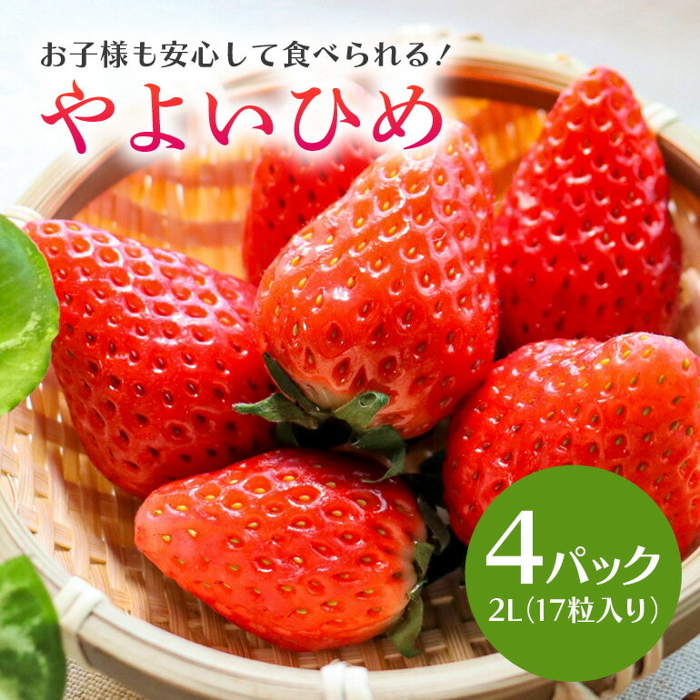 【数量限定・先行予約】やよいひめ 2L（17粒入り）×4パック 1kg以上 いちご イチゴ 苺 フルーツ 果物 くだもの 国産 茨城県産 高糖度 甘い ＜2026年1〜3月発送予定＞ （茨城県共通返礼品 石岡市） 71-A