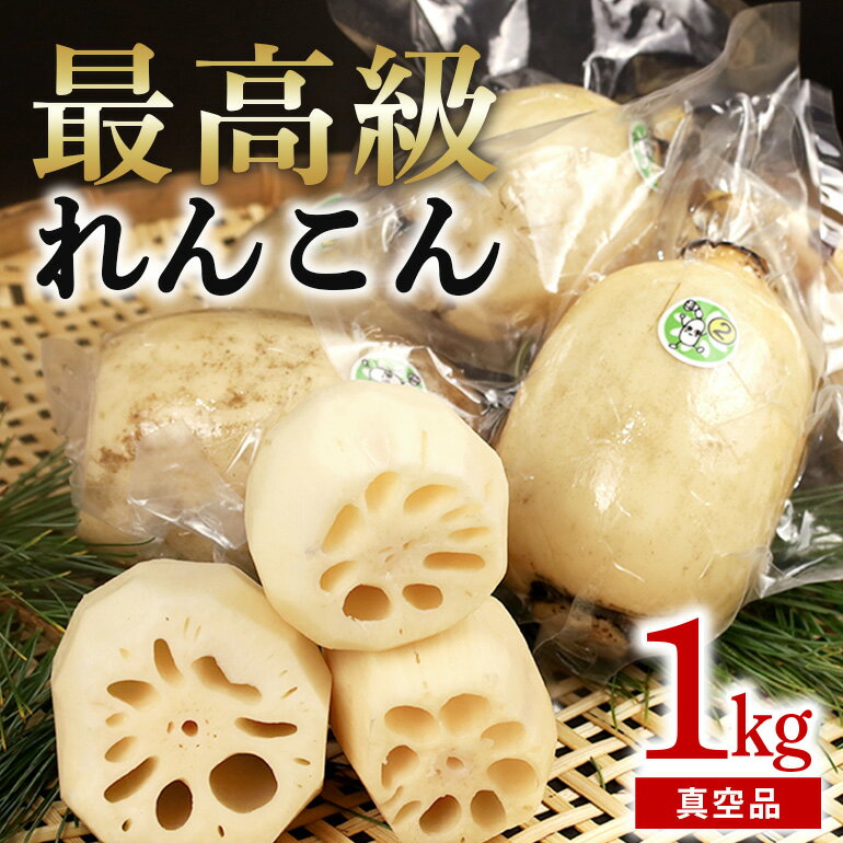 【最高級Bigれんこん珠美】真空品 1kg 期間限定 れんこん 真空 パック 保存 レンコン 蓮根 贈答 お祝い 贈り物 国産 77-C