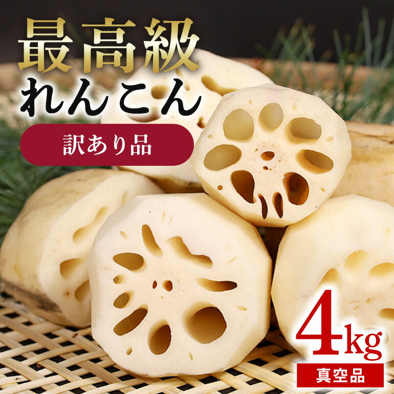 訳あり品【最高級Bigれんこん珠美】真空品 4kg 期間限定 れんこん 真空 パック 保存 レンコン 蓮根 訳あり 贈答 お祝い 贈り物 国産 77-D