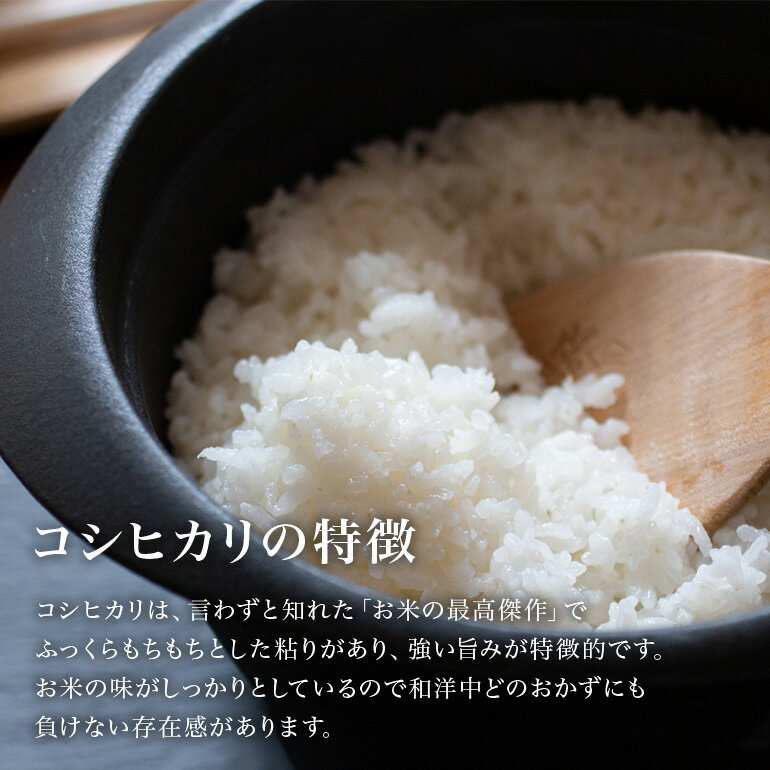 【ふるさと納税】【 令和7年産 】小美玉産 コシヒカリ ミルキークイーン 食べ比べ セット 計10kg（各5kg） こしひかり みるきーくいーん 米 10キロ 5キロ 食べくらべ 詰め合わせ 詰合せ 詰め合せ 詰合わせ お米 白米 国産 ごはん おにぎり 弁当 茨城県 小美玉市 17-L - 画像3