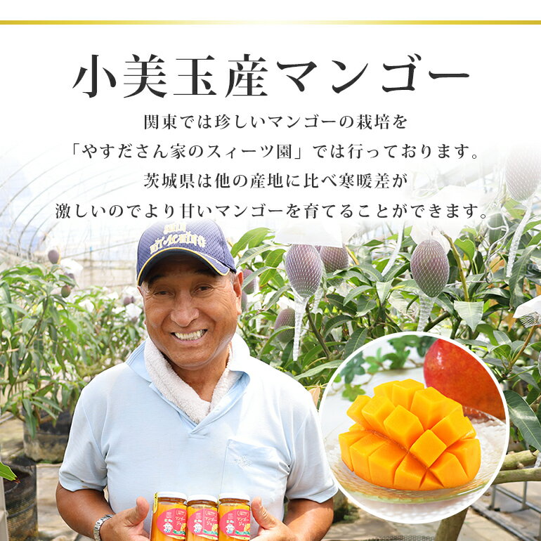 【ふるさと納税】おみたんマンゴー 約450g 数量限定 期間限定 2025年先行予約 完熟 マンゴー 国産 【7月20日～8月末まで順次発送予定】 『グッド！モーニングで紹介』 19-D サムネイル2