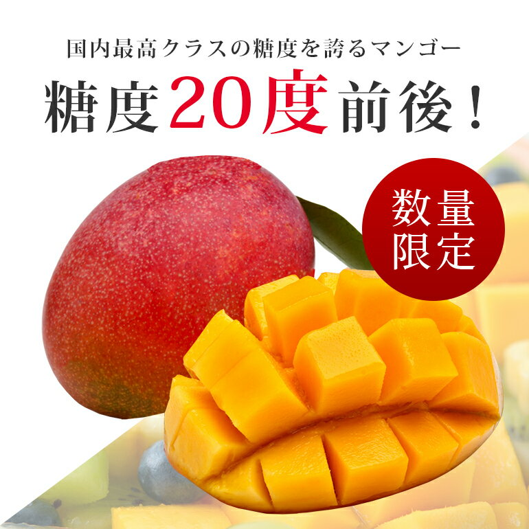 【ふるさと納税】おみたんマンゴー 約550g 数量限定 期間限定 先行予約 完熟 マンゴー 国産 【7月20日〜8月末まで順次発送予定】 『グッド！モーニングで紹介』 19-D サムネイル3