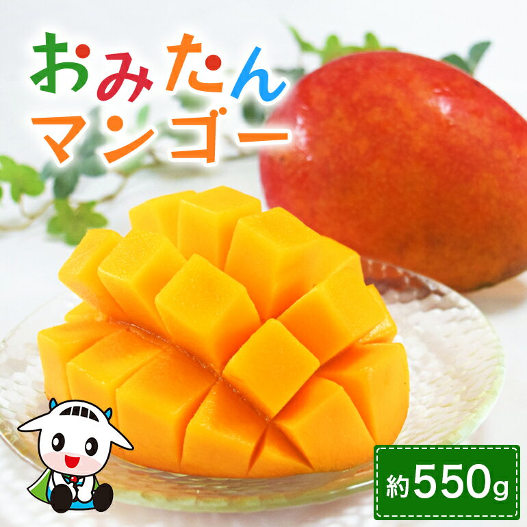 おみたんマンゴー 約550g 数量限定 期間限定 先行予約 完熟 マンゴー 国産 【7月20日〜8月末まで順次発送予定】 『グッド！モーニングで紹介』 19-D