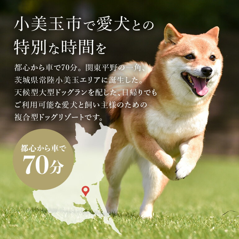 【ふるさと納税】グランデ プライベート ドッグリゾート常陸宿泊券 5,000円×5枚（平日限定） 愛犬 ペットOK ドッグラン プール 温泉 サウナ ホテル チケット 宿泊 旅行 宿泊券 旅行券 72-B サムネイル2