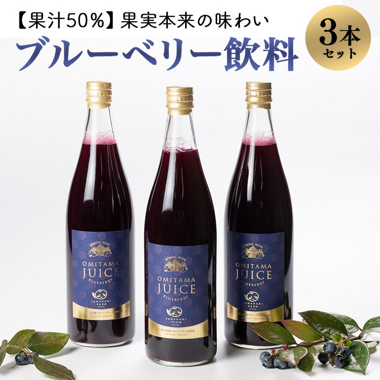 果汁50％ブルーベリー飲料3本セット ブルーベリー ブルーベリー飲料 フルーツ 果物 フルーツジュース ジュース ビタミンE アントシアニン 栄養 目にいい 健康 美容 瞳の健康 ギフト 贈り物 茨城県産 人気 プレゼント セット ドリンク 9−A