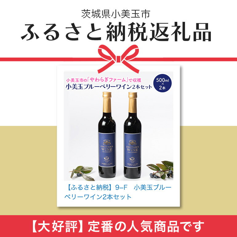 【ふるさと納税】小美玉ブルーベリーワイン2本セット ブルーベリー ワイン ブルーベリーワイン フルーツ 果物 ビタミンE アントシアニン 栄養 目にいい 健康 美容 ギフト 贈り物 茨城県産 プレゼント セット お酒 美味しい お祝い 9−F サムネイル2