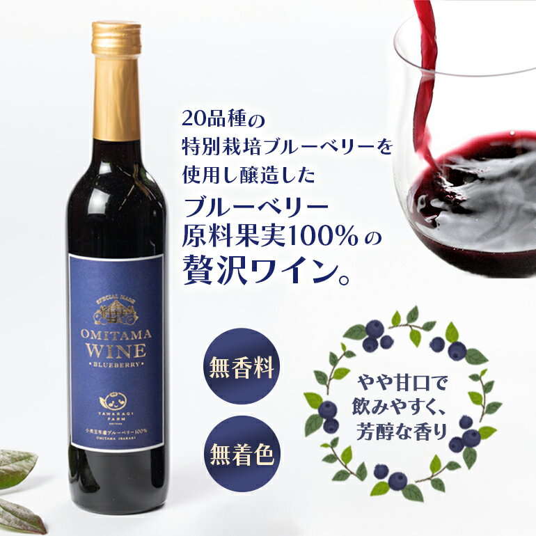 【ふるさと納税】小美玉ブルーベリーワイン2本セット ブルーベリー ワイン ブルーベリーワイン フルーツ 果物 ビタミンE アントシアニン 栄養 目にいい 健康 美容 ギフト 贈り物 茨城県産 プレゼント セット お酒 美味しい お祝い 9−F サムネイル3