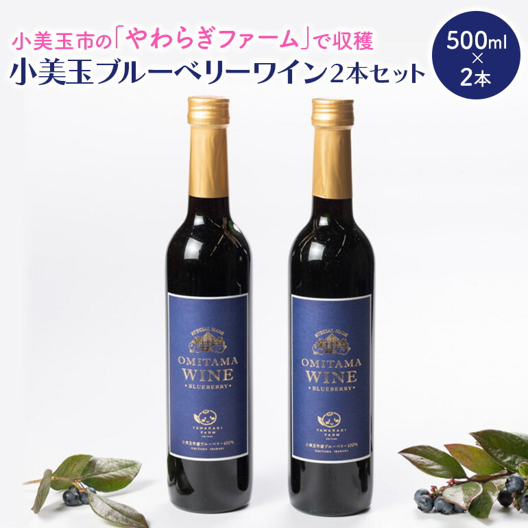 小美玉ブルーベリーワイン2本セット ブルーベリー ワイン ブルーベリーワイン フルーツ 果物 ビタミンE アントシアニン 栄養 目にいい 健康 美容 ギフト 贈り物 茨城県産 プレゼント セット お酒 美味しい お祝い 9−F