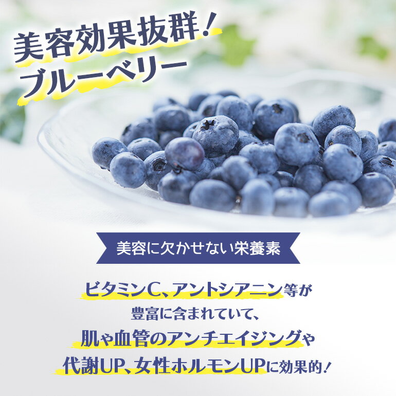 【ふるさと納税】冷凍ブルーベリー 1kg 茨城県産 国産 無農薬 有機栽培 有機肥料 特別栽培 1キロ 冷凍 ブルーベリージャム フルーツ 果物 くだもの ケーキ作り お菓子 スイーツ 贈り物 贈答用 内祝い ギフト 小分け 9-I 【6月下旬から順次発送予定】 サムネイル3