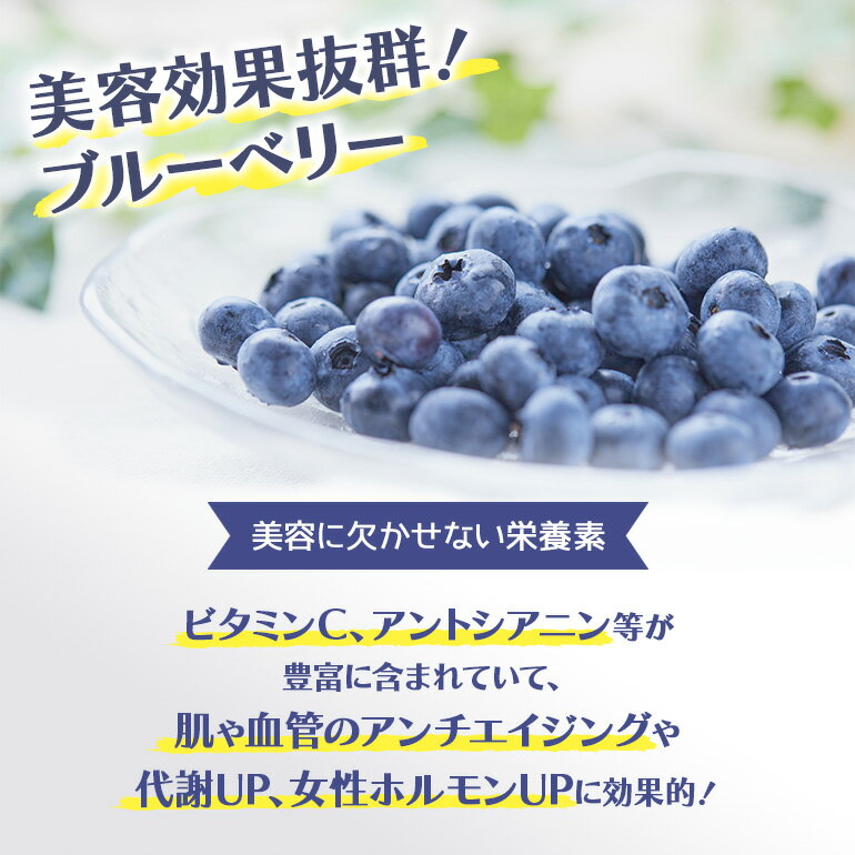 【ふるさと納税】ブルーベリー狩り体験チケット（大人2名様分）ブルーベリー ブルーベリー狩り フルーツ 果物 フルーツ狩り チケット 体験 ジュース ビタミンE アントシアニン 目にいい 健康 美容 ギフト 贈り物 茨城県産 人気 プレゼント 楽しい 季節 農園 果物狩り 9−Q サムネイル2