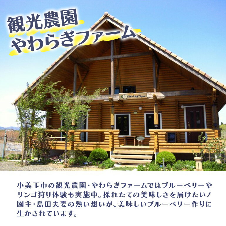 【ふるさと納税】ブルーベリー狩り体験チケット（大人2名様分）ブルーベリー ブルーベリー狩り フルーツ 果物 フルーツ狩り チケット 体験 ジュース ビタミンE アントシアニン 目にいい 健康 美容 ギフト 贈り物 茨城県産 人気 プレゼント 楽しい 季節 農園 果物狩り 9−Q サムネイル3