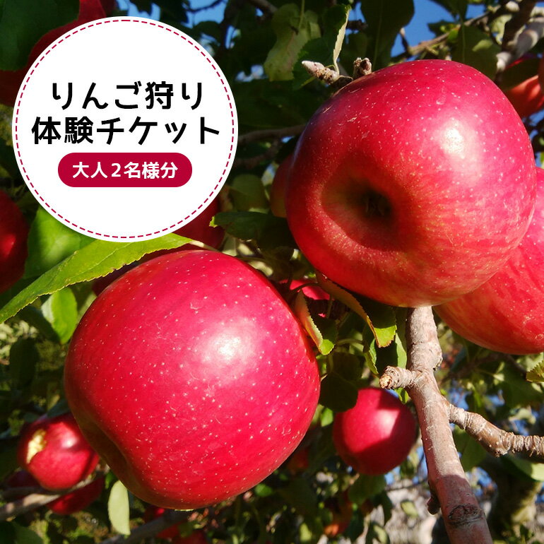 りんご狩り体験チケット（大人2名様分） りんご りんご狩り フルーツ 果物 フルーツ狩り チケット 体験 リンゴ ジュース 健康 美容 ギフト 贈り物 茨城県産 人気 プレゼント 楽しい 親子 季節 農園 りんご農園 果物狩り 味覚狩り 9−R