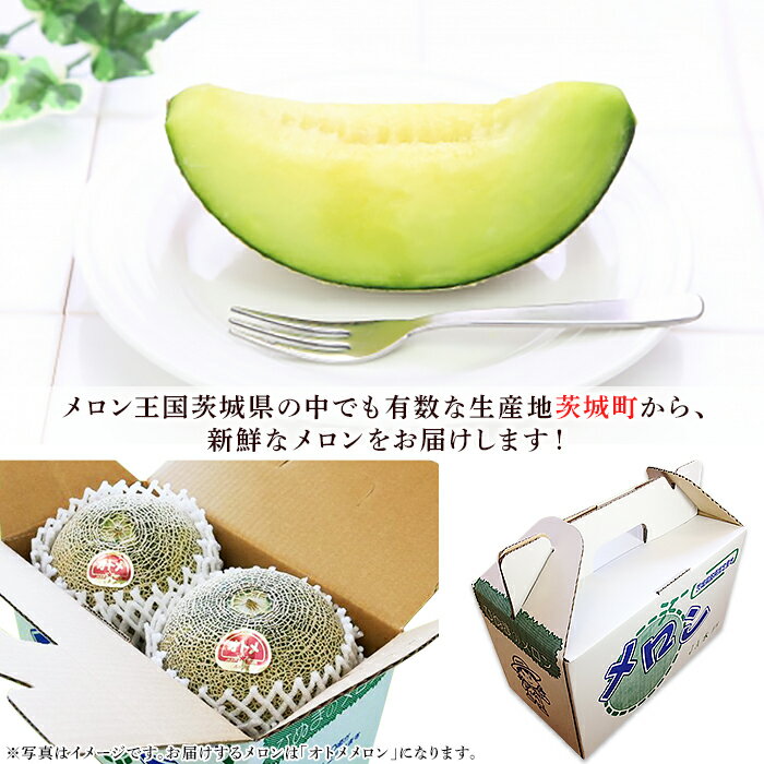 【ふるさと納税】メロン めろん 茨城 秀品 フルーツ 先行予約 007-2 オトメメロン 秀品 2玉 約2kg 茨城県 JA水戸産 サムネイル3