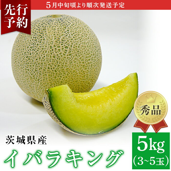 フルーツ 先行予約 メロン 茨城 秀品 082-3 イバラキング 秀品 3~5玉 約5kg 茨城県 JA水戸産