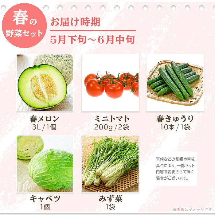 【ふるさと納税】657 茨城町 春の野菜セット メロン トマト きゅうり キャベツ みず菜 - 画像2