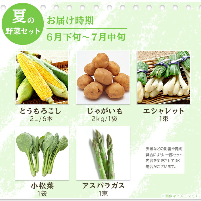 【ふるさと納税】658 茨城町 夏の野菜セット とうもろこし じゃがいも エシャロット 小松菜 アスパラガス - 画像2
