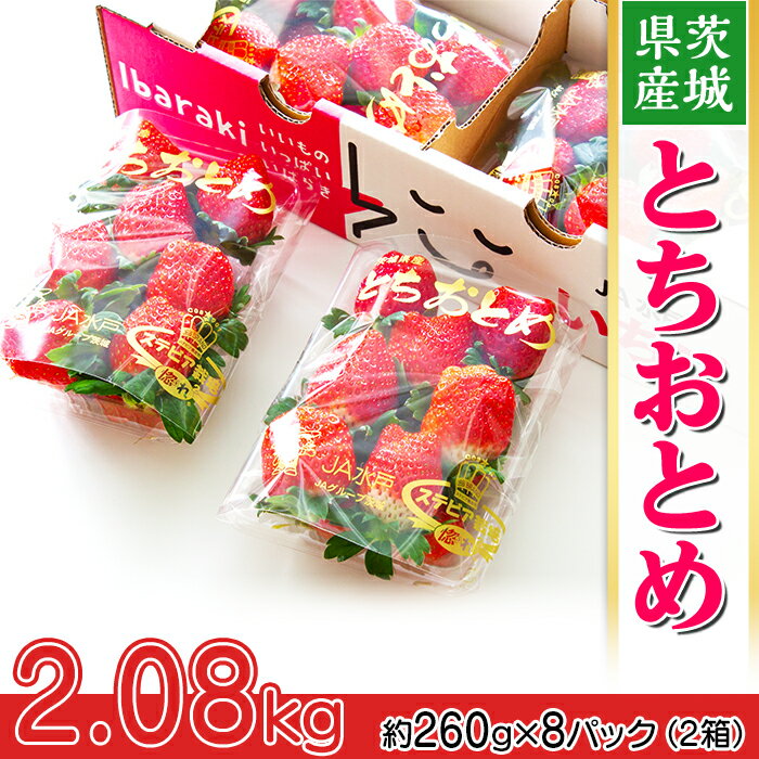 いちご 先行予約 とちおとめ イチゴ 苺 200茨城県産いちご「とちおとめ」2.08kg（2箱8パック）【2026年1月中旬頃～3月下旬頃発送予定】