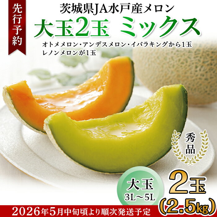 フルーツ 先行予約 メロン めろん 茨城 秀品 食べ比べ 214茨城県JA水戸産メロン【秀品】大玉2玉ミックス(2.5kg)【2026年5月中旬頃より発送予定】