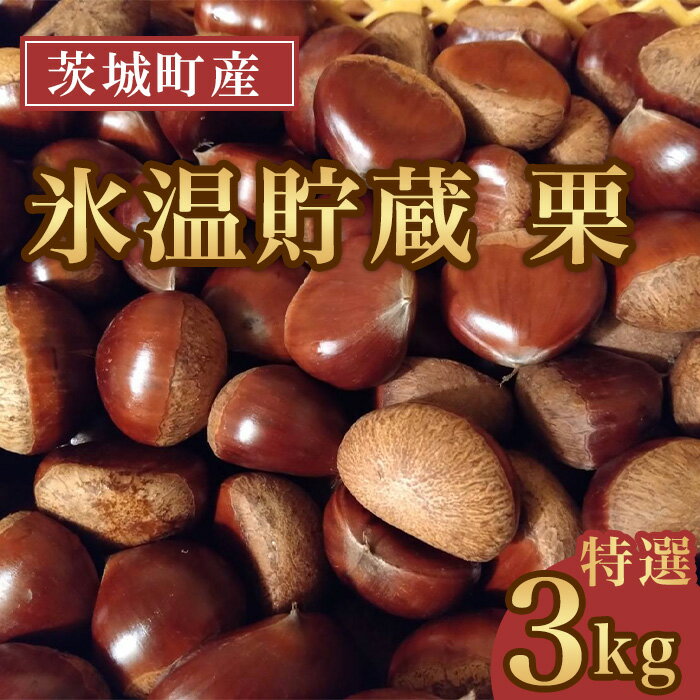 693 氷温貯蔵 栗 特選 3L 3kg【海老澤農園】
