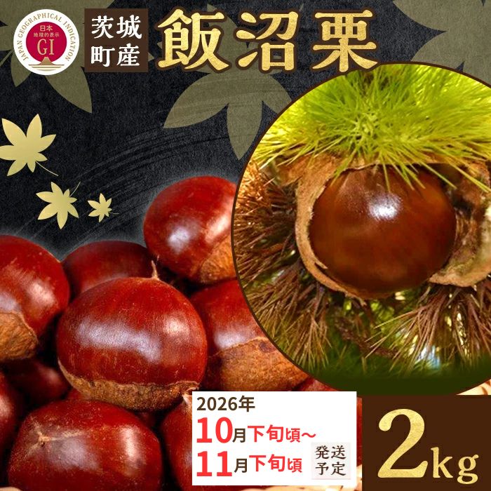 飯沼栗 くり 高級 栗 数量限定 フルーツ 先行予約 029 飯沼栗 2kg 高級 茨城県 茨城町産 ブランド くり 希少 品種 数量 限定 先行予約 2026年10月下旬～11月下旬頃発送予定