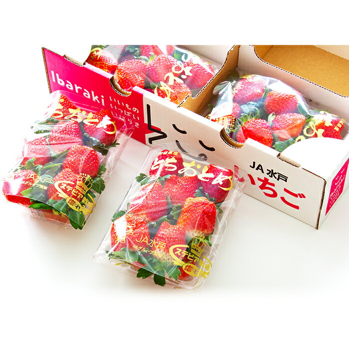 【ふるさと納税】いちご 先行予約 とちおとめ イチゴ 苺 002茨城県産いちご「とちおとめ」1.04kg（4パック）【2026年1月中旬頃～3月下旬頃発送予定】 サムネイル3