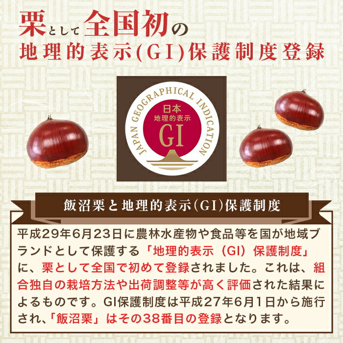 【ふるさと納税】飯沼栗 くり 高級 栗 数量限定 フルーツ 先行予約 029 飯沼栗 2kg 高級 茨城県 茨城町産 ブランド くり 希少 品種 数量 限定 先行予約 2026年10月下旬～11月下旬頃発送予定 - 画像3