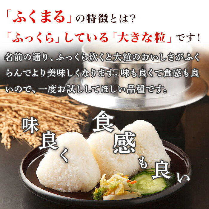 【ふるさと納税】170【令和7年産】茨城町産 ふくまる 5kg【野口ライス】 - 画像2